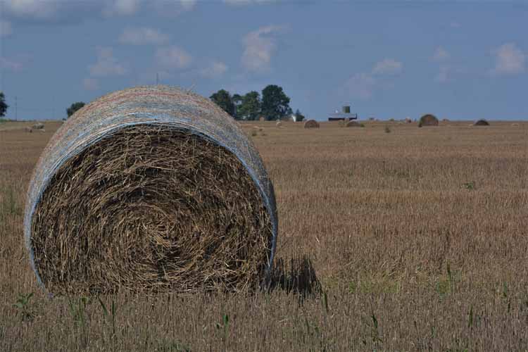 hay bale